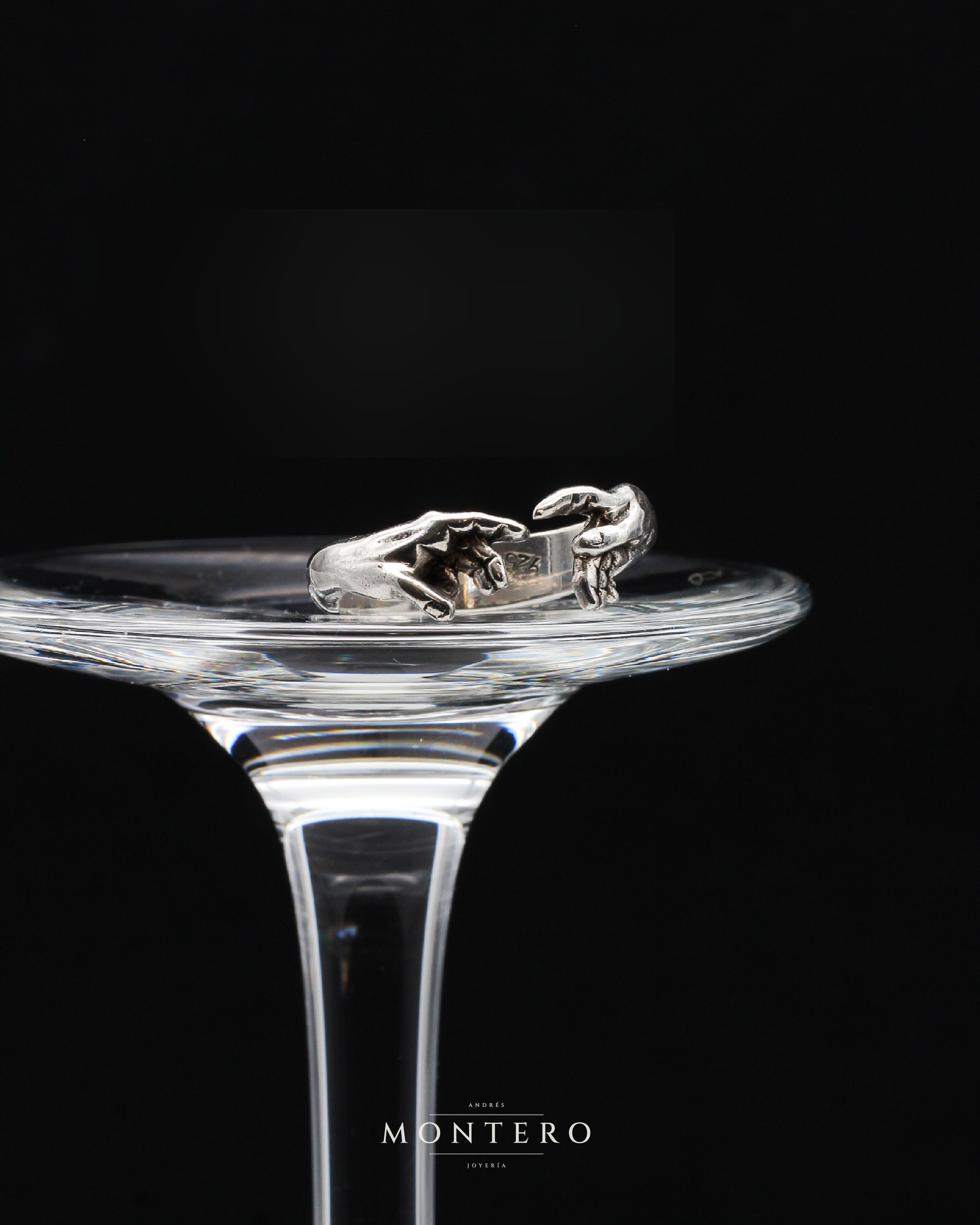 Anillo de plata .925 para hombre Andrés Montero Joyería (AM-H-AN-001)